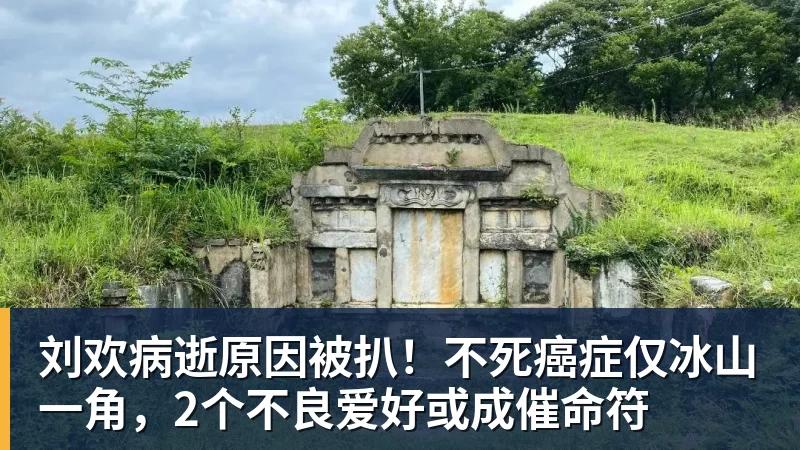 刘欢病逝原因被扒!不死癌症仅冰山一角,2个不良爱好或成催命符